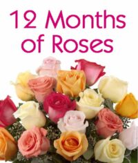 12 Months of Roses Monthly Flower Delivery Service