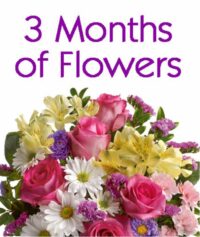 3 Months of Flowers Monthly Flower Delivery Club