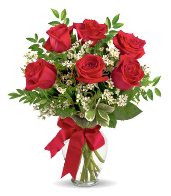Thoughts of You Roses Deluxe #126BX Valentines Day Flowers for Delivery The Best 24 Valentines Day Flowers for Delivery ❀ Fairy Circle Garden