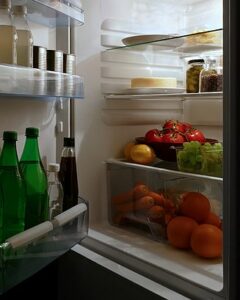 growing tomatoes indoors during winter fridge