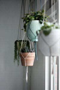 more ideas for indoor fairy garden fun hanging baskets