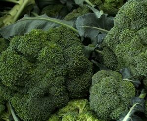 seeds to start in january broccoli pic