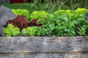 what to build a raised garden bed from what is it