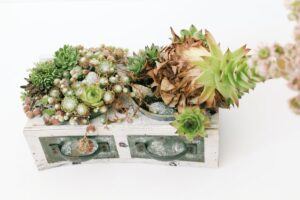 what to build a fairy garden in drawer