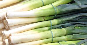 seeds to start in january leek bunches