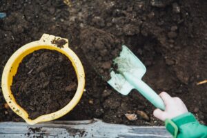 january gardening tasks soil