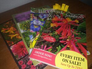 what jobs to do in the garden in february catalogs