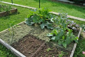 backyard vegetable garden design ideas square foot gardening