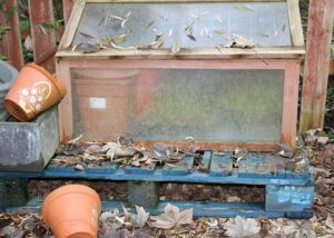 what jobs to do in the garden in february cold frame