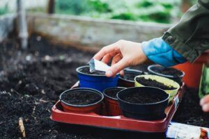 what jobs to do in the garden in february seed starter mix