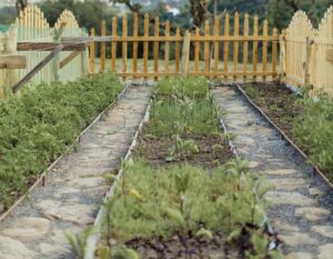 backyard vegetable garden design ideas pathways