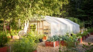 backyard vegetable garden design ideas greenhouses