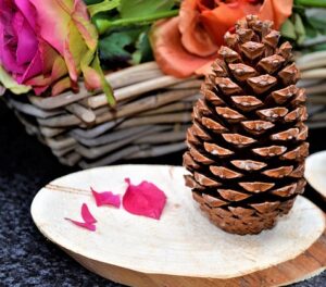 valentine fairy garden pine cone