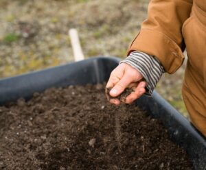 what jobs to do in the garden in february amend soil
