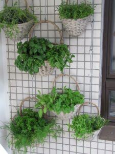 Balcony Garden Design Ideas vertical gardening 