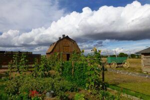 Survival Gardening: Growing the best emergency survival foods farm