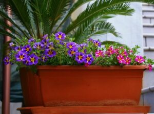 Balcony Garden Design Ideas moveable planters