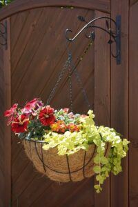 outdoor container garden ideas hanging basket