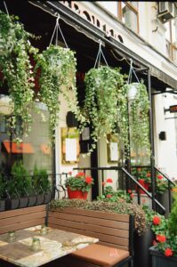 Balcony Garden Design Ideas hanging baskets