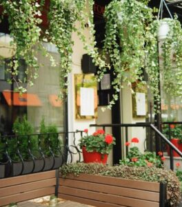 Balcony Garden Design Ideas hanging baskets