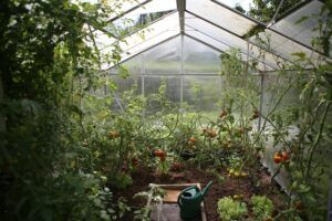 Survival Gardening: Growing the best emergency survival foods greenhouse