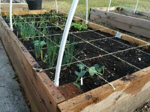 Square Foot Gardening Planner Guide planning