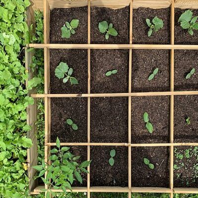 Square Foot Gardening Planner Guide featured