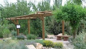 Desert Backyard Landscaping Ideas pergola