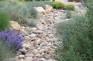 Desert Backyard Landscaping Ideas dry riverbed