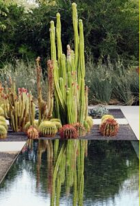 Desert Backyard Landscaping Ideas water feature