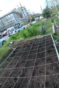 Square Foot Gardening Planner Guide what is it