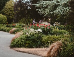 Easy Flower Garden Ideas perennials