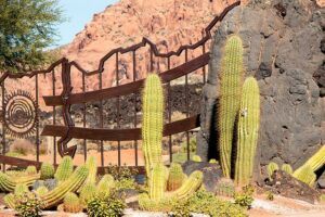 Desert Backyard Landscaping Ideas free standing wall