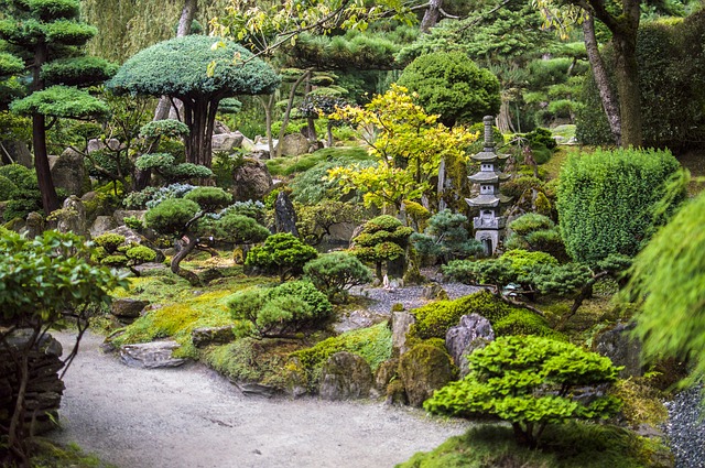 Japanese garden featured