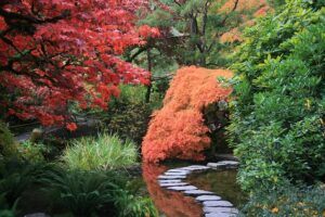 Japanese Garden Design Ideas red leaves