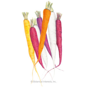 Carrot-Carnival-Blend-ORG Organic Garden Seeds For Sale Online