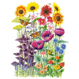 FM-Pollinator-Garden-ORG Organic Garden Seeds For Sale Online