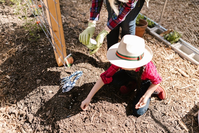 Photo by RODNAE Productions kid-planting-seeds-on-the-ground-soil-Organic Garden Seeds For Sale Online