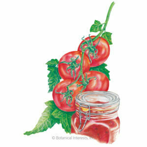 Tomato-Bush-Ace-55-ORG Organic Garden Seeds For Sale Online