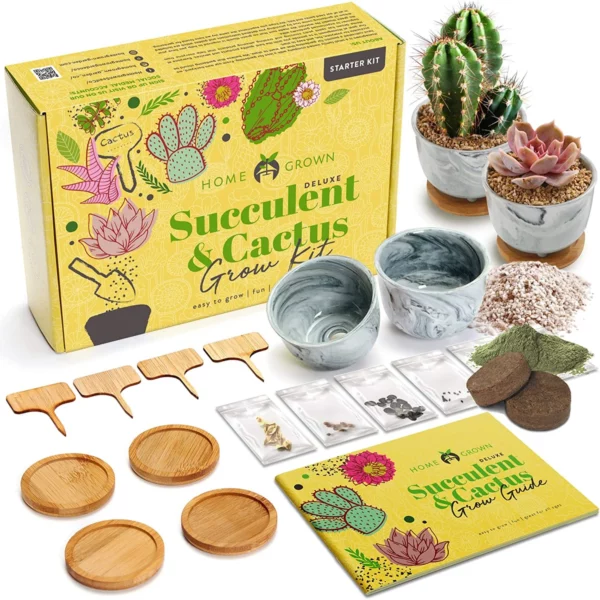 succulent/cacti starter kit alt text