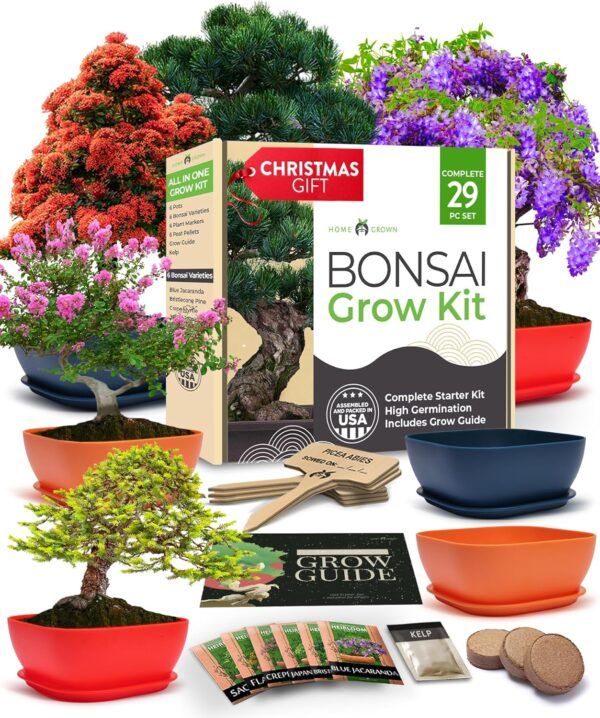 6 Variety Bonsai Garden Starter Kit