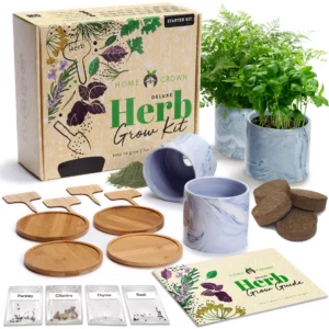 Deluxe Culinary Herb Growing Kit Alt