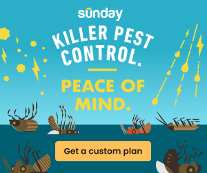 Sunday Custom Pest Plan